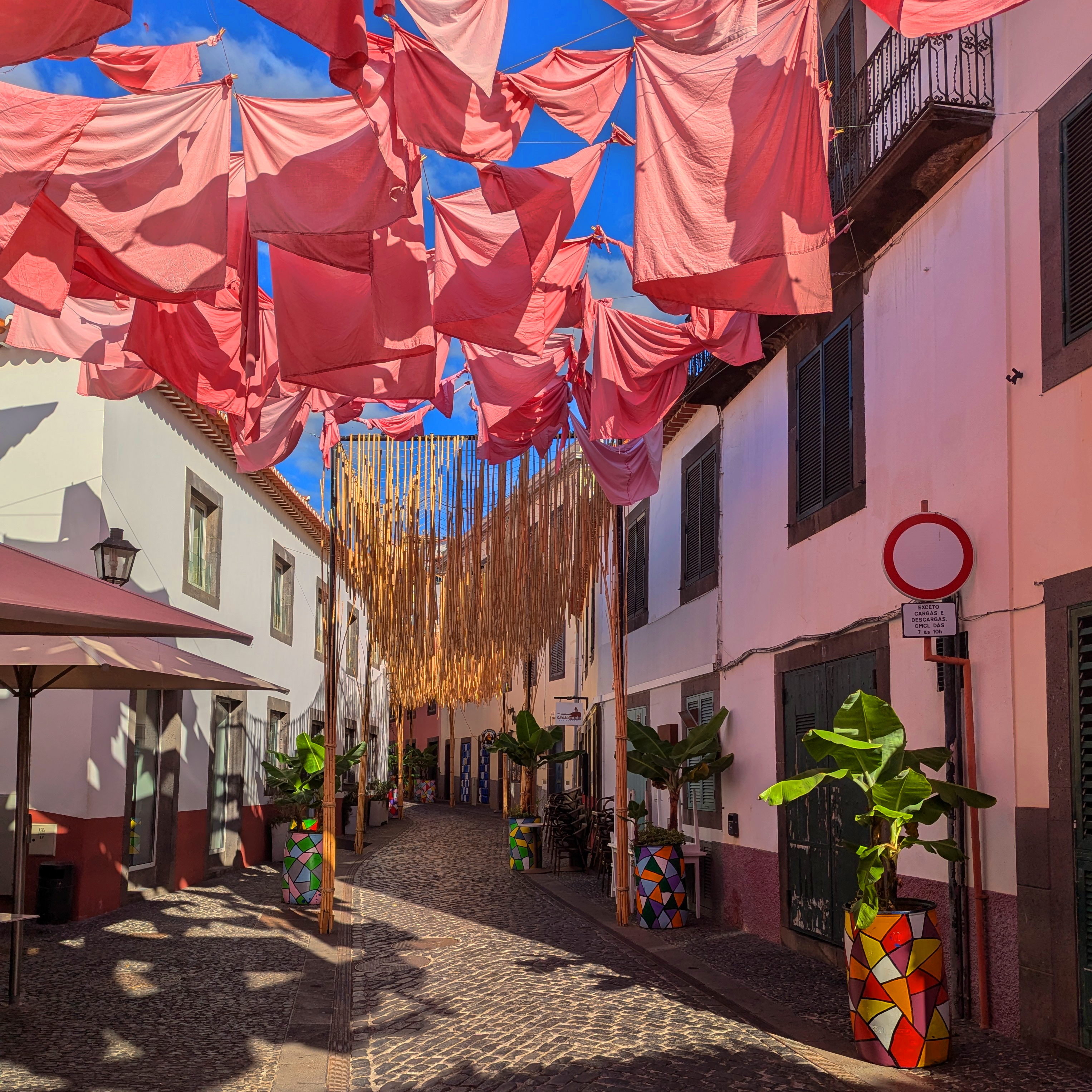 Old bits of clothing dyed pink hanging from wires across the street.